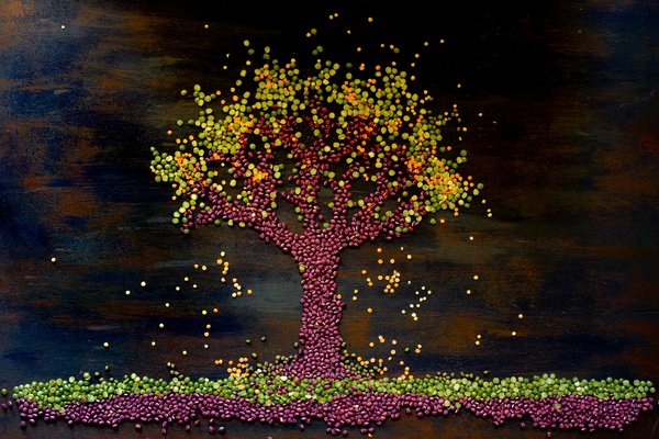 Comment créer un mur végétal intérieur avec des plantes dépolluantes?